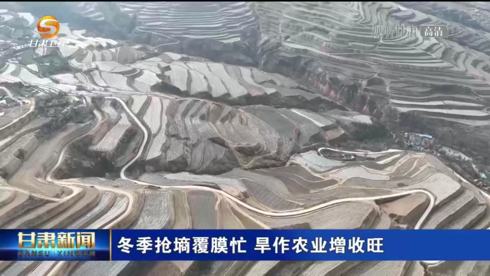 【微视频】甘肃：冬季抢墒覆膜忙 旱作
