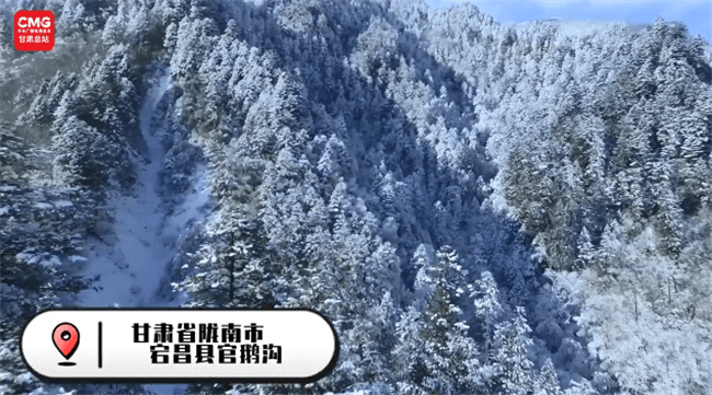 陇南官鹅沟下雪了　一批冰雕艺术品等您