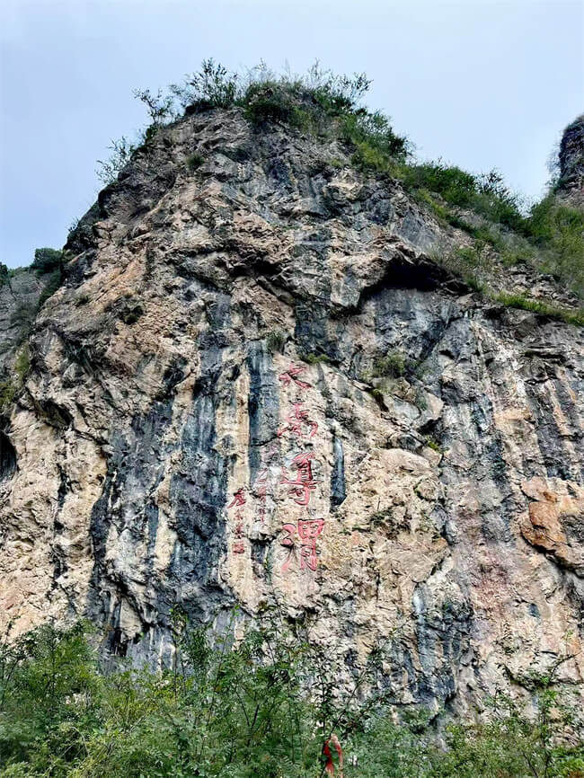 微信图片_20240828130219 (1).jpg