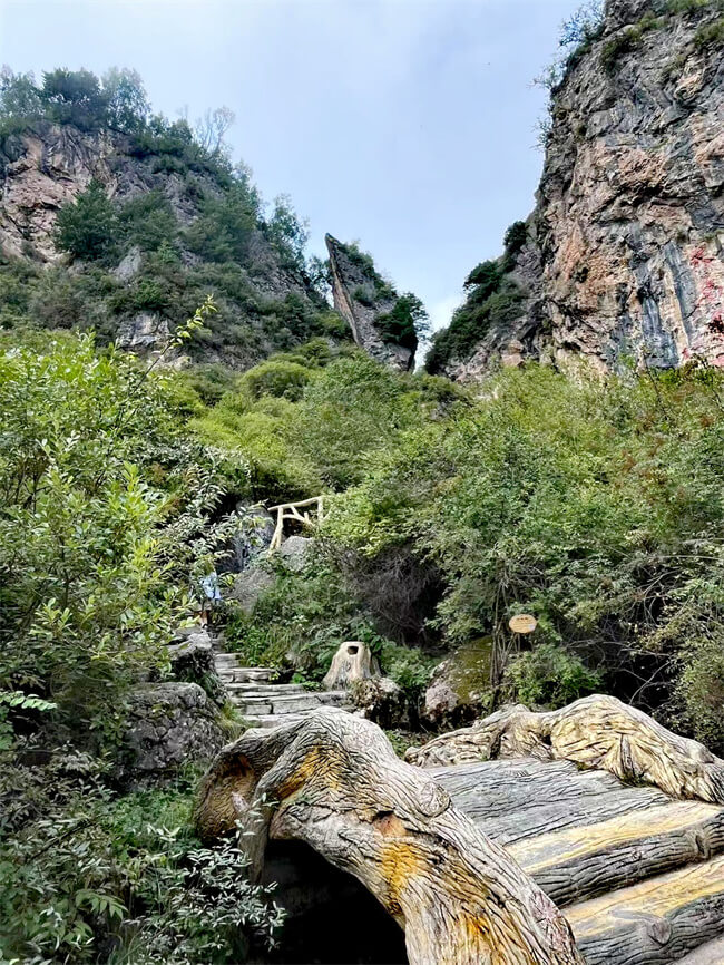 微信图片_20240828130225 (1).jpg