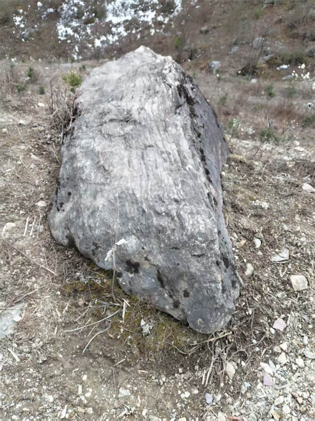 微信图片_20250320170019 (1).jpg