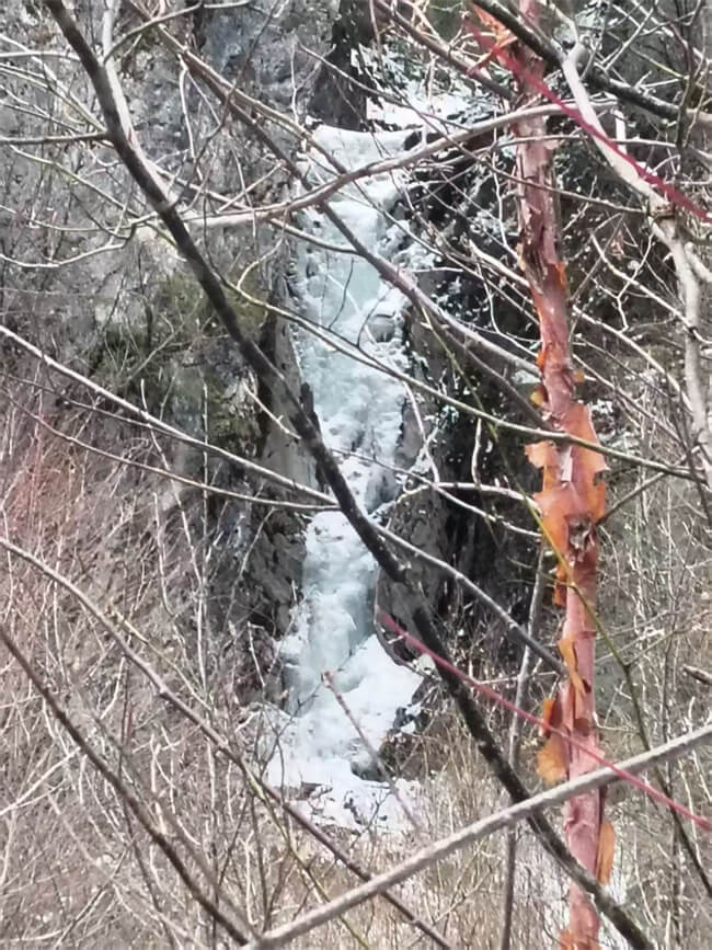 微信图片_20250320170021 (1).jpg