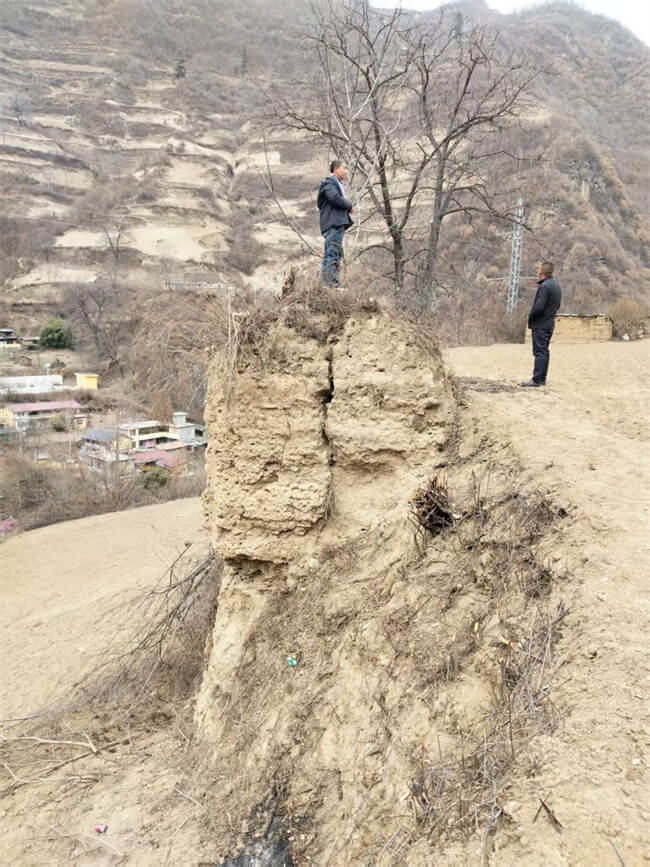 微信图片_20250320170024 (1).jpg