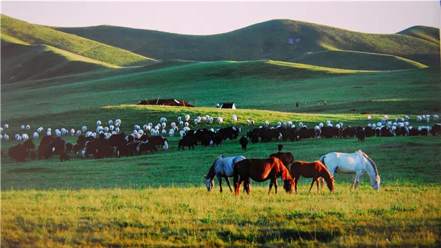 高山流水彩云间　星河岸边是甘南