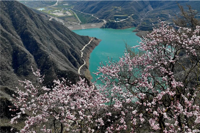 以诗为媒，以春为约，遇见平凉最美的春