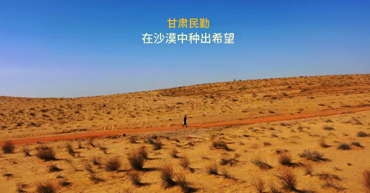 甘肃民勤，在沙漠中种出希望
