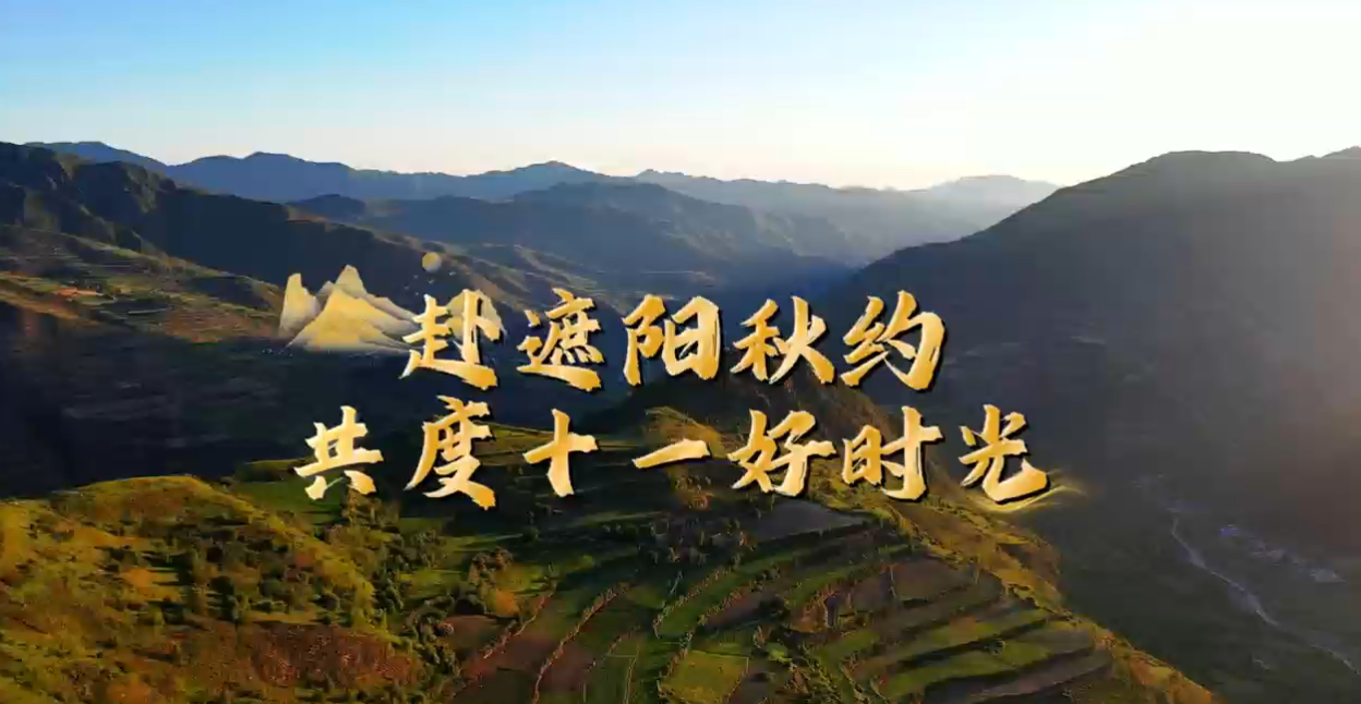赴遮阳秋约，共度十一好时光